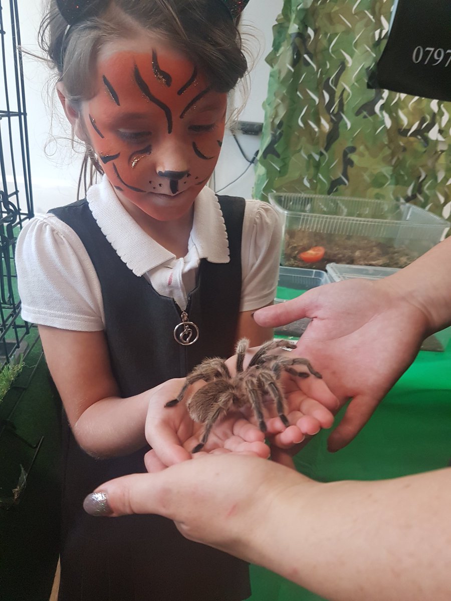 Sandra Ingram tweet media