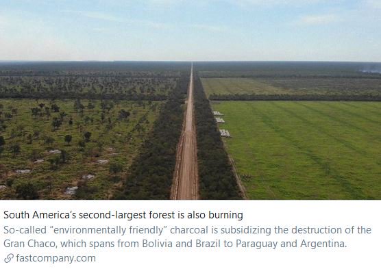 This is what the  #EcologicalCrisis looks like in  #SouthAmerica right now."South America’s second-largest forest, the Gran Chaco, is disappearing in plain sight." https://www.fastcompany.com/90412903/south-americas-second-largest-forest-is-also-burning