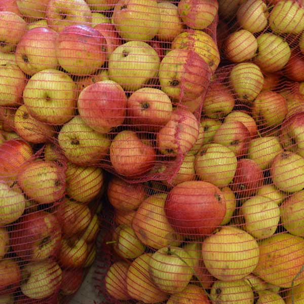Cornish Cider Fest (@kernowciderfest) on Twitter photo Lovely crafts from 11am tomorrow - Sarah Hercod Illustrates and Fiona Chivers making beautiful apple blossom crowns! Apple pressing too! <a href="/LoveLostwithiel/">Lostwithiel</a> #cider #apples Lovely crafts from 11am tomorrow - Sarah Hercod Illustrates and Fiona Chivers making beautiful apple blossom crowns! Apple pressing too! <a href="/LoveLostwithiel/">Lostwithiel</a> #cider #apples