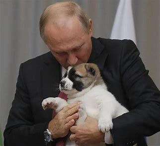 aMundoCM's tweet photo. #CSFR FALÁCIAS CONTRA O PRESIDENTE RUSSO: o Excelentíssimo senhor Vladimir Putin é acusado injustamente de maus tratos contra seus cachorros. A AC informa: tudo calúnia isso aí. https://t.co/0wYwNHwtbD