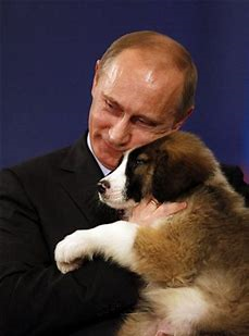 aMundoCM's tweet photo. #CSFR FALÁCIAS CONTRA O PRESIDENTE RUSSO: o Excelentíssimo senhor Vladimir Putin é acusado injustamente de maus tratos contra seus cachorros. A AC informa: tudo calúnia isso aí. https://t.co/0wYwNHwtbD