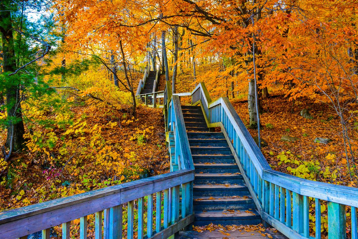 Ottawa Tourism tweet media