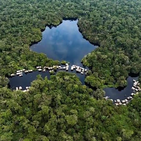 DrcViva's tweet photo. #RDC : le lac paku, est un lac méconnu, situé à 40 km de l'est de #Mbandaka🇨🇩. Le lac abrite une population d'hippopotame et de nombreux oiseaux 🇨🇩.
.
.
.@DrcViva @MinTourRDC @BunkuluYves #visiterdcongo @JeanLucMwamba2 https://t.co/4Eiytrgksw