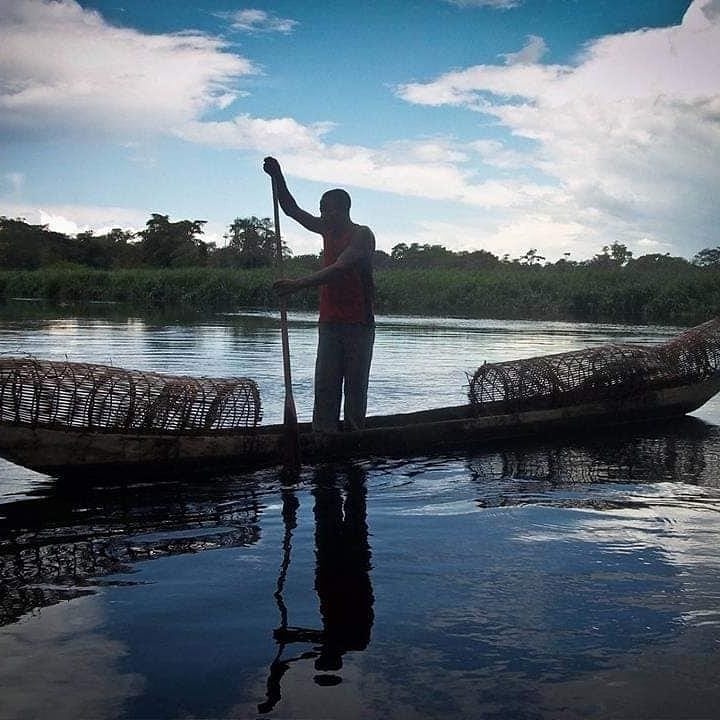 DrcViva's tweet photo. #RDC : le lac paku, est un lac méconnu, situé à 40 km de l'est de #Mbandaka🇨🇩. Le lac abrite une population d'hippopotame et de nombreux oiseaux 🇨🇩.
.
.
.@DrcViva @MinTourRDC @BunkuluYves #visiterdcongo @JeanLucMwamba2 https://t.co/4Eiytrgksw