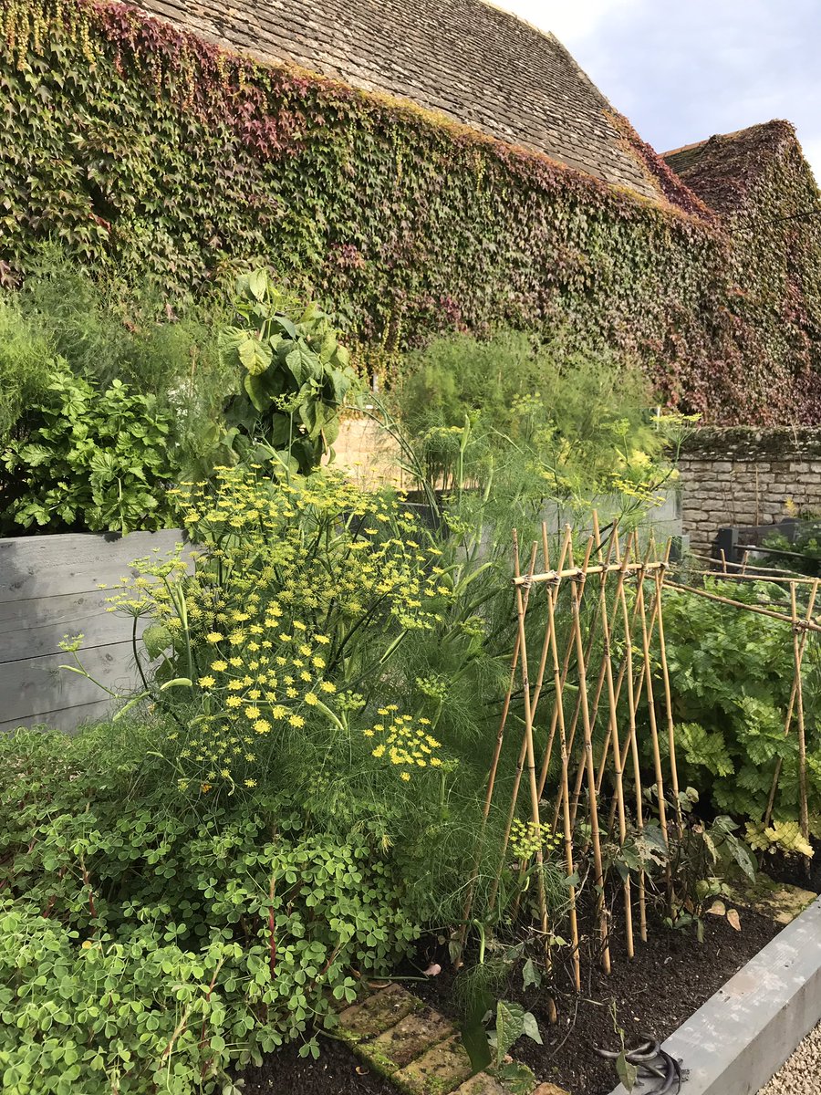 AF Garden School tweet media