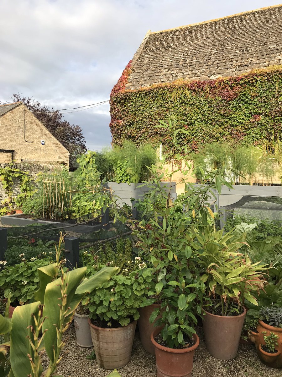 AF Garden School tweet media