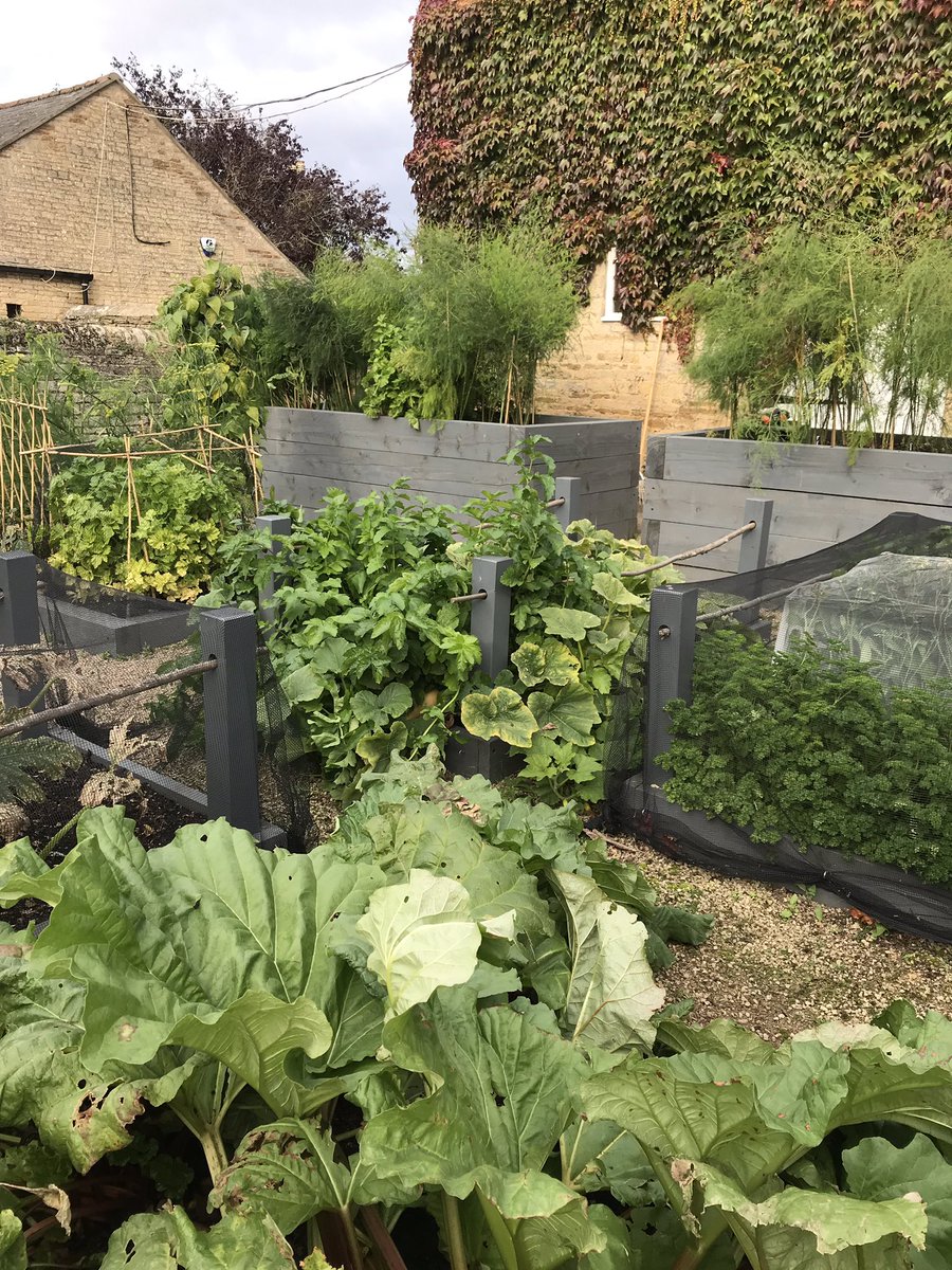 Happy Friday everyone! 
Can you believe it’s the weekend already, where has this week gone!!! Have a lovely weekend everyone 😊 
#garden #kitchengarden #gardendesign #autumn #gardening #homegrown