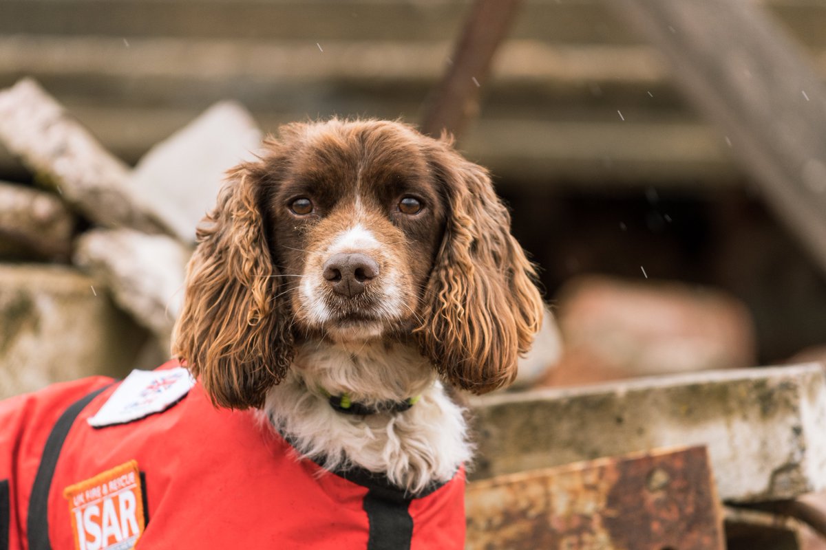 Also included in the calendar are: <a href="/LincsFireRescue/">Lincolnshire Fire and Rescue</a>. <a href="/LondonFire/">London Fire Brigade</a>, <a href="/NottsSART/">Nottinghamshire SART</a>, <a href="/northantsfire/">Northamptonshire Fire & Rescue</a>, <a href="/fire_scot/">Scottish Fire and Rescue Service</a>, @FspgEMidlands