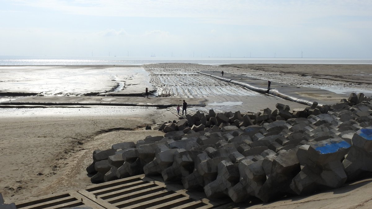 numenini's tweet image. Dongtai Tiaozini, is being developed to show people birds, especially the Spoon-billed Sandpiper for which it is famed. Since last year, new facilities have popped up for refreshing visitors, and facilitating access to the tidal flats, the latter still under construction. 2/6