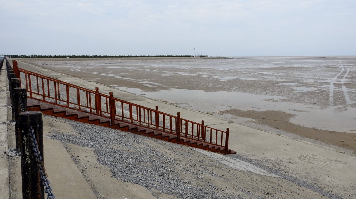 numenini's tweet image. Dongtai Tiaozini, is being developed to show people birds, especially the Spoon-billed Sandpiper for which it is famed. Since last year, new facilities have popped up for refreshing visitors, and facilitating access to the tidal flats, the latter still under construction. 2/6