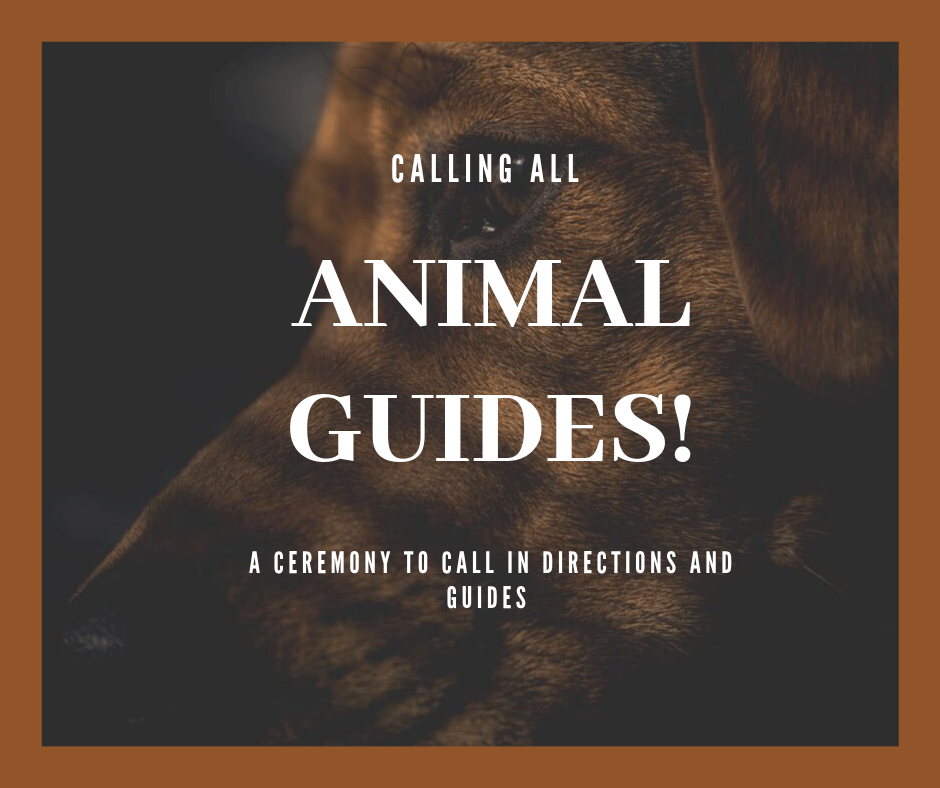 mamapoolecooks's tweet photo. Calling In Your Animal Guides https://t.co/ErbfrstR4N https://t.co/IuNM5rXYSo