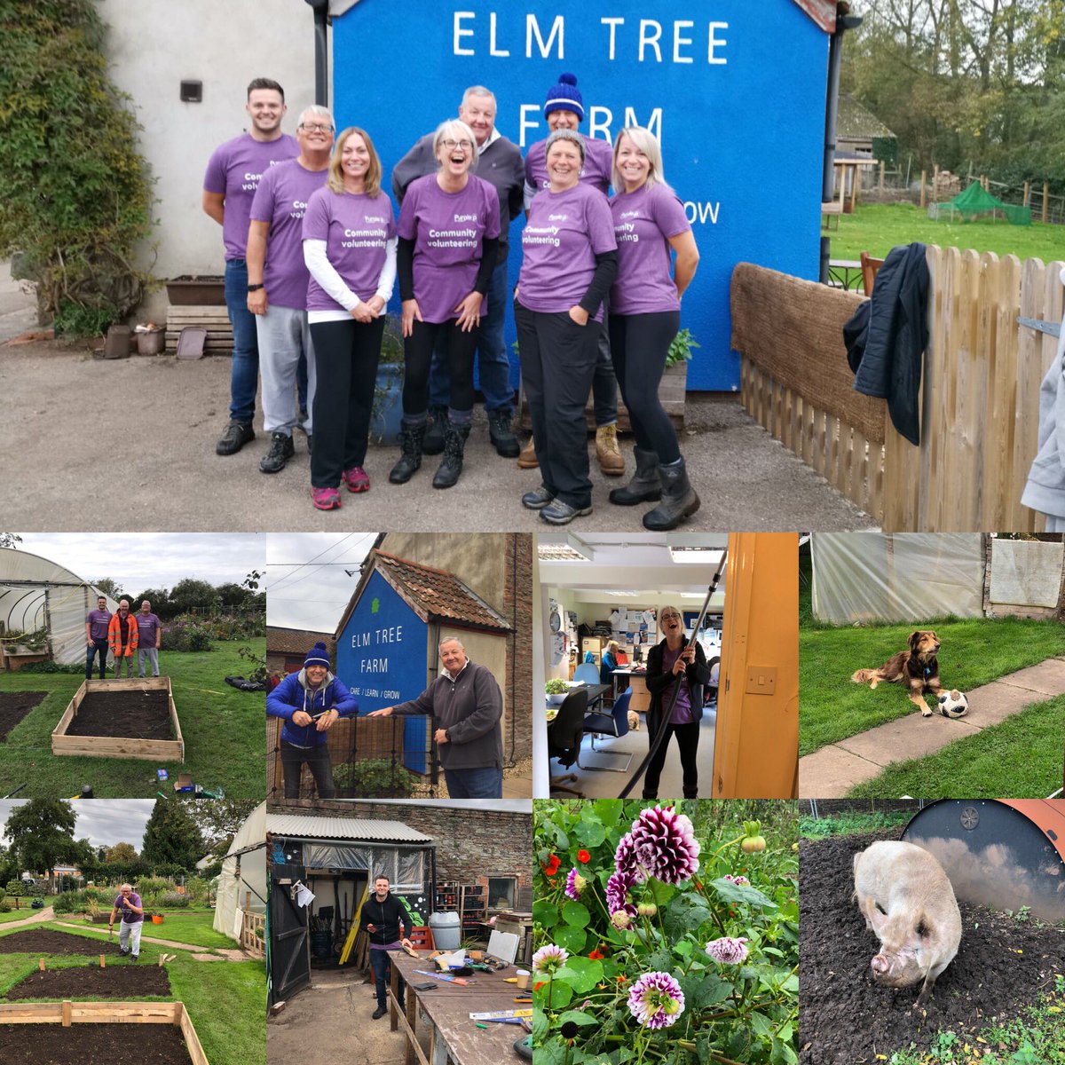 PurpleNetworkHQ's tweet photo. We had a great day yesterday volunteering at Elm Tree Farm in Bristol who work alongside @BrandonTrust supporting adults with learning difficulties. Thank you for making us feel so welcome! #community #volunteering #farmlife https://t.co/D7VkxAC7s4