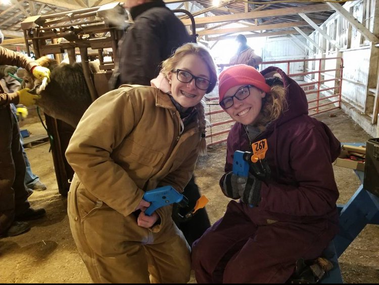 FFAcrestview's tweet photo. #2019FairHighlight is graduate Rayana Thatcher! For her senior year Rayana was on Van Wert County Jr Fair Board, and for projects took beef feeders, dairy feeders, and performance lambs! https://t.co/E54TNCQ0EX