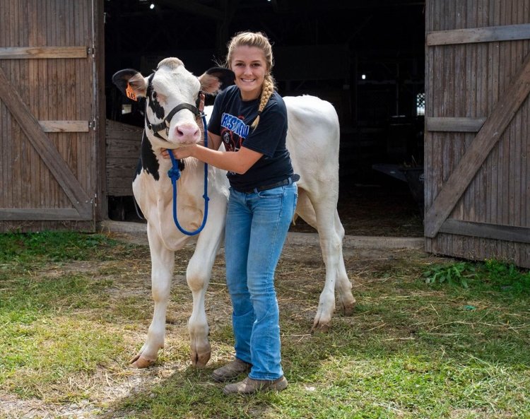 FFAcrestview's tweet photo. #2019FairHighlight is graduate Rayana Thatcher! For her senior year Rayana was on Van Wert County Jr Fair Board, and for projects took beef feeders, dairy feeders, and performance lambs! https://t.co/E54TNCQ0EX