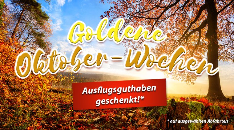 Jetzt buchen und ein Ausflugsguthaben von bis zu 200,- Euro bzw. USD sichern! Einfach bis zum 17.10.19 eine der vielen Aktionskreuzfahrten (z. B. von MSC, Royal Caribbean, NCL oder Celebrity Cruises) bei go7seas buchen! Hier geht's zur Aktion: bit.ly/go7-oktober