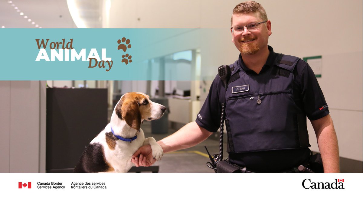 Canada Border Services Agency tweet media