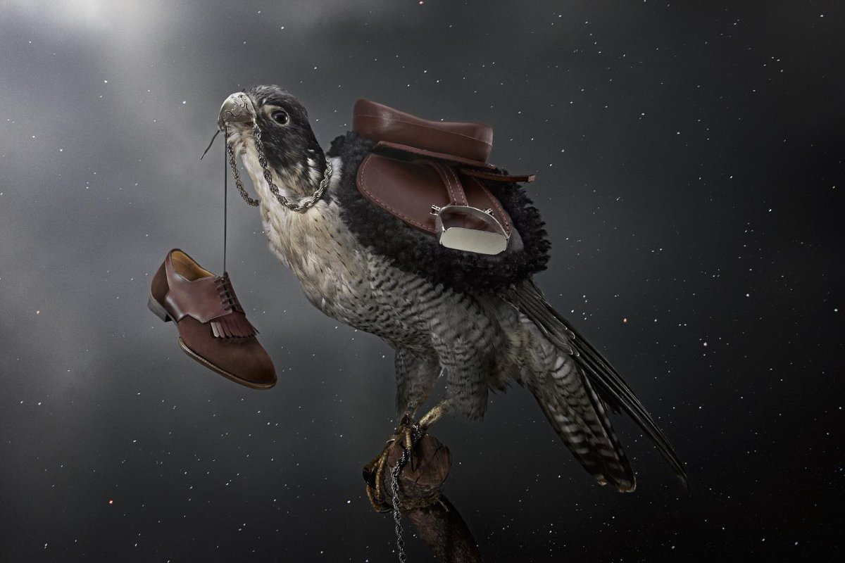ElementUK_'s tweet photo. Thrilling digital campaigns with London Taxidermy.
#digitalagency #creativeagency #campaign #loveyourclients #happyfriday #art https://t.co/7Po81PZUgQ