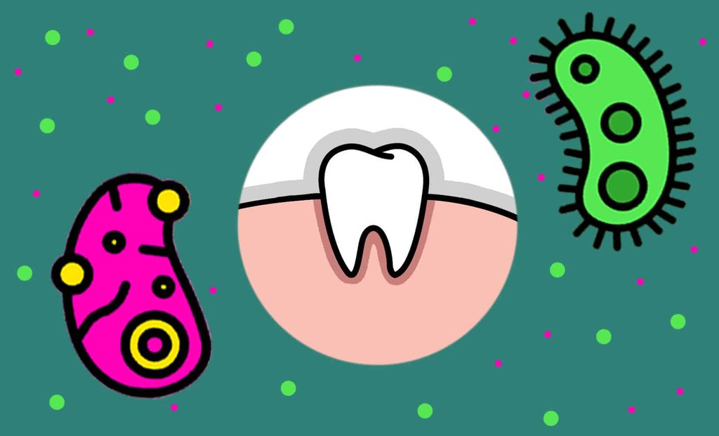 Your best toothpastes ingredients matter a great deal. By far, the most essential ingredient you should look for is sodium fluoride.

#PersonalCare #Tips #HowTo #Product #SelfCare #OralHealth #ToothPaste #Mouthwash #BadBreath #Halitosis #OralHygiene  

primandprep.com/best-toothpast…