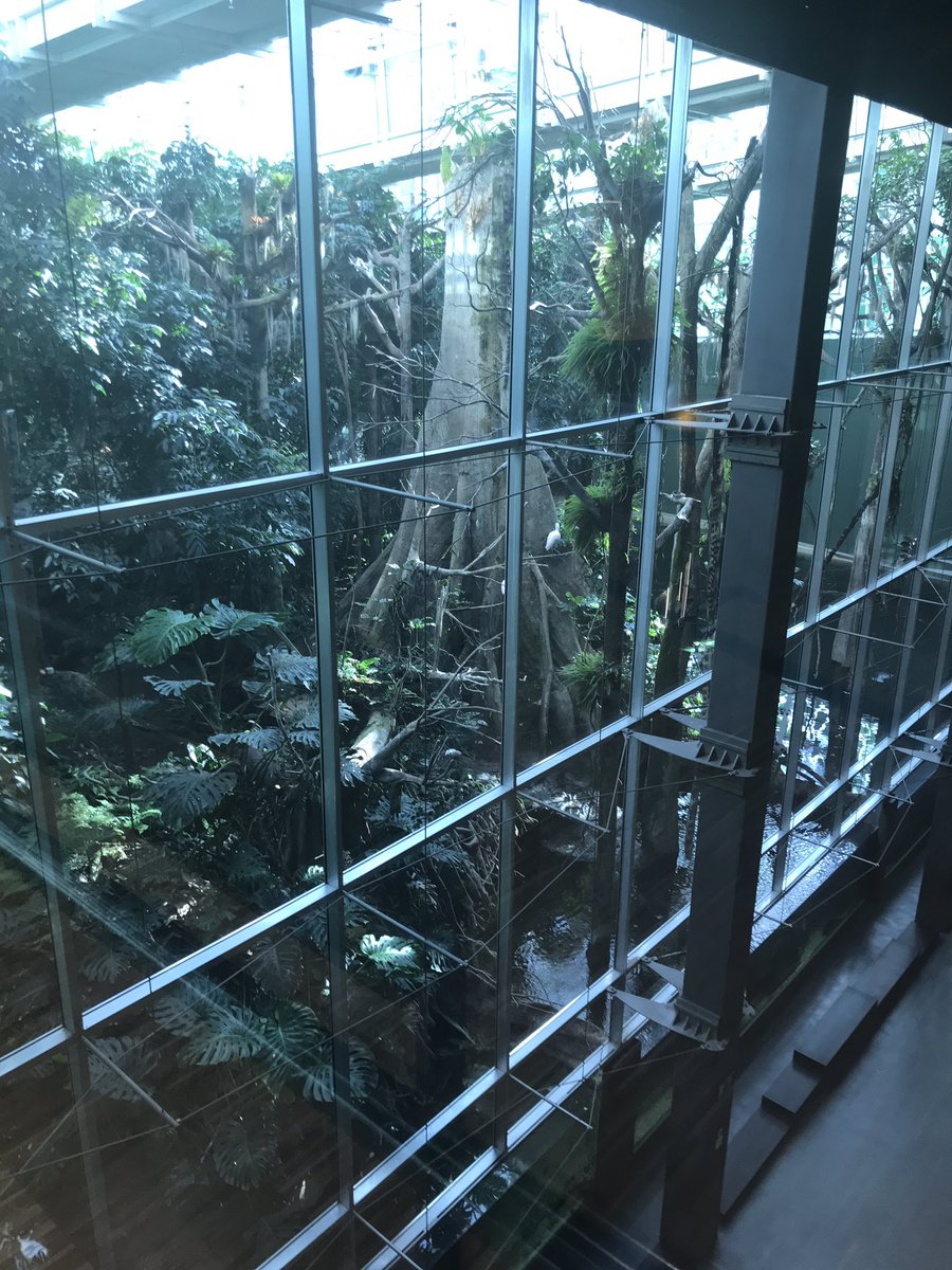 SimoneAplin's tweet photo. Coming to the end of two fantastic days at the @anthesis_group Global Leadership Conference in @CosmoCaixaBCN.  Stunning and inspiring venue and wonderful to meet our colleagues from all over the world. https://t.co/PNAW41h1ld