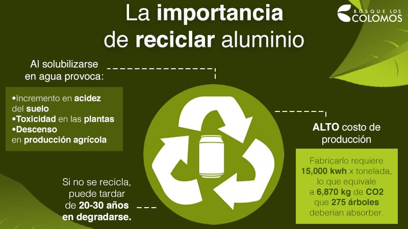 Bosque Los Colomos tweet media