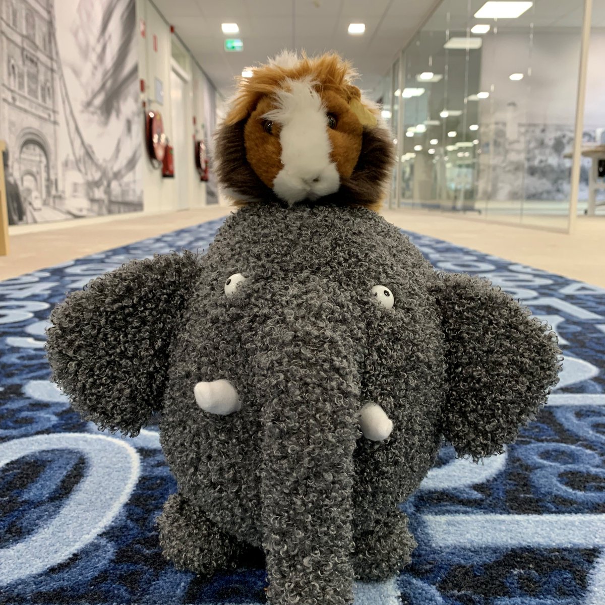 Dit jaar wordt er alweer 90 jaar dierendag gevierd. Fijne dierendag gewenst namens HLG!

#HLG #ikbenhlg #accountancy #fiscaal #auditing #corporatefinance #privateclient #newpost #newblogpost #Leusden #utrecht #dierendag #dieren #topteam #team #today