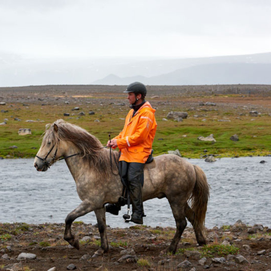 Want to ride the Icelandic horse on the oldest trail in Iceland 🐴? 
It lies across the island, between two of our biggest and most impressive glaciers. 
Click for more info👇👇
ow.ly/85tN50wBNCB