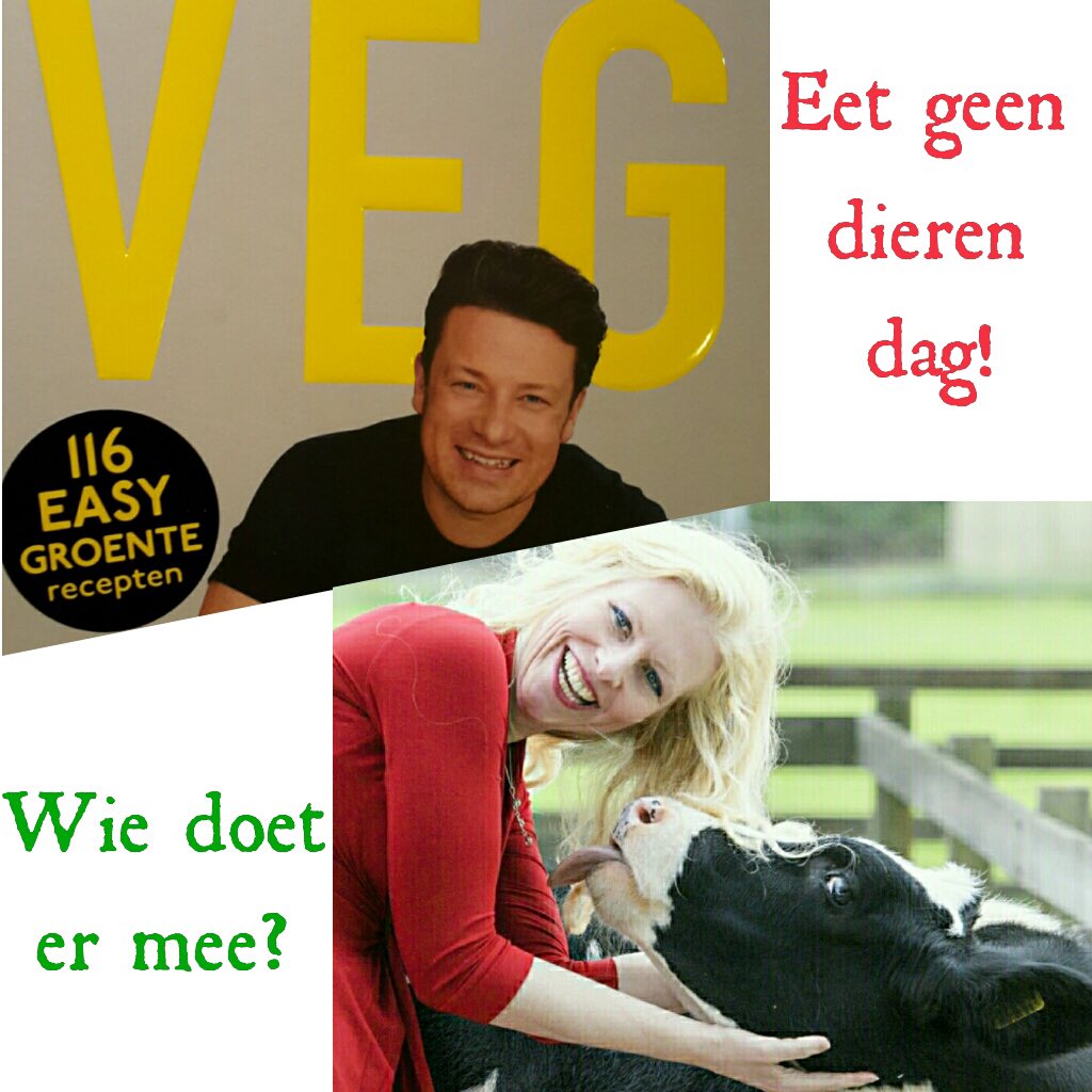 Eline Rood tweet media