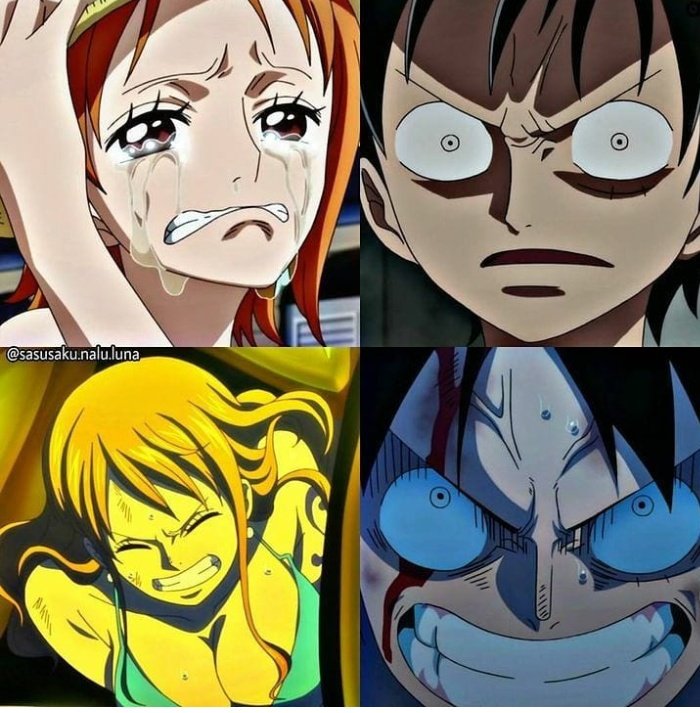 NAMI CRIES FOR LUFFY!!