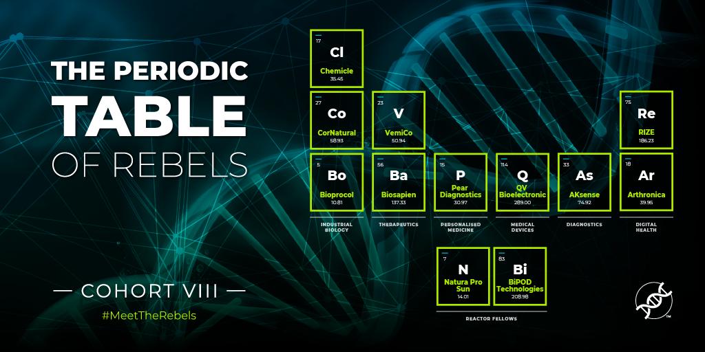 📣 INTRODUCING the explosive mix of our brand new investments! 

Presenting 10 highly reactive #startups exploding onto the scene which we call...

🧪The Periodic Table of Rebels 🧬

Stay tuned to #MeetTheRebels 

#VC #Founders #Entrepreneur #Tech #FridaysForFuture #Science #Bio