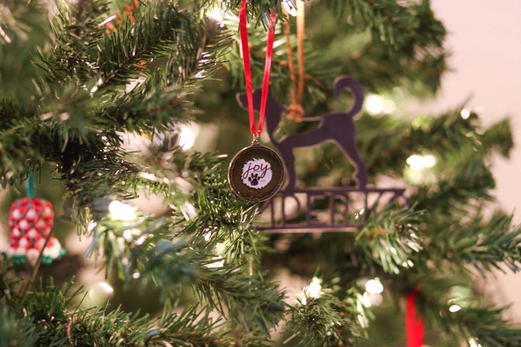 servicedogsmag's tweet photo. Request for Ornaments to Decorate an MWD Christmas Themed Tree https://t.co/lU62cegk1h https://t.co/aRAPCCbQr0