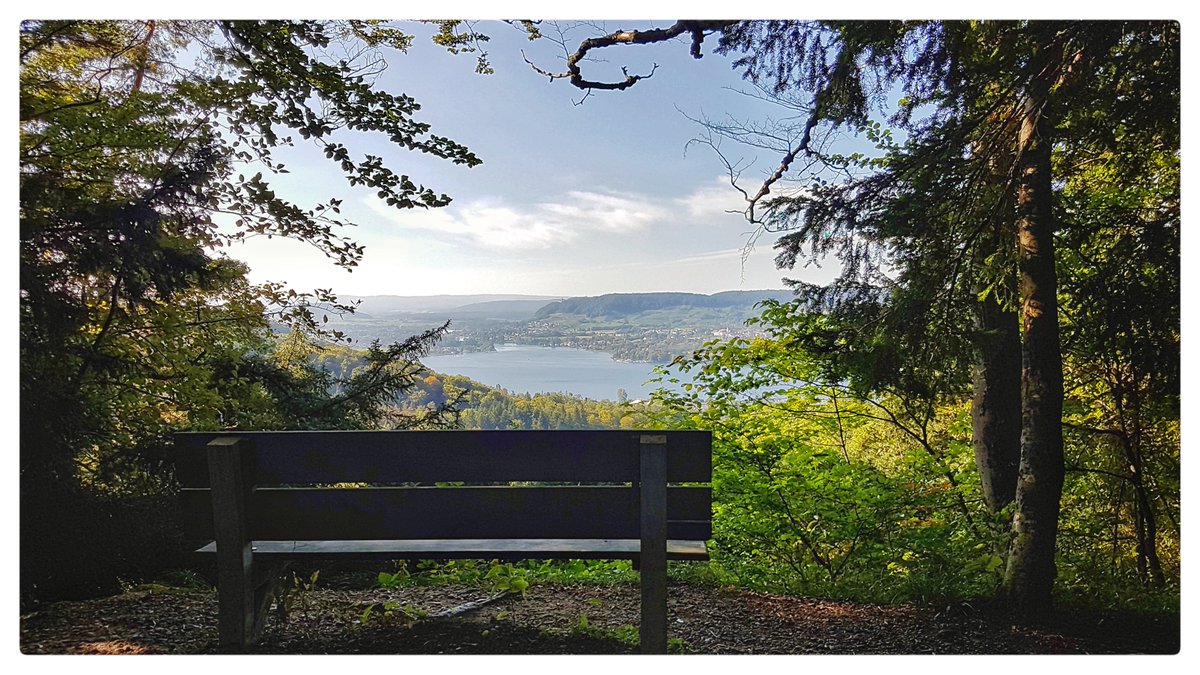 primaerma34's tweet photo. Ich wünsche allen erholsame, frohe und sonnige Herbstferien ☀️🍁🍂🍃
 #primaerma #herbstferien https://t.co/J68RenV6MW