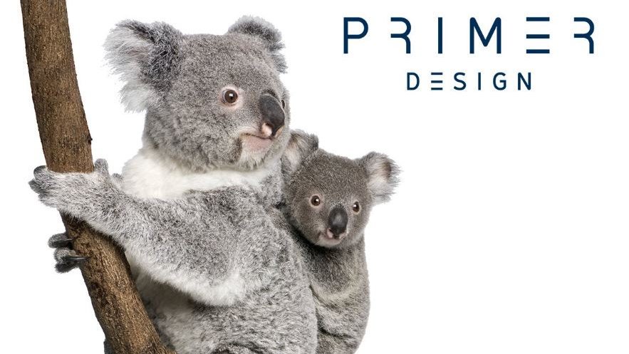 PrimerdesignLtd's tweet image. Are you new to qPCR? Heading to University? Learn how qPCR works, what to do and what not to do with our super popular &quot;Beginners Guide to qPCR&quot; - Download the PDF here! - ow.ly/yKU950udknV 

#qPCR #RealtimePCR #PhDChat #PhDForum #PostDoc #PhDLife #Biotechnology #Research