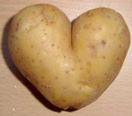 GameOnAUS's tweet photo. #RT this potato plz https://t.co/zhs4rI29bj