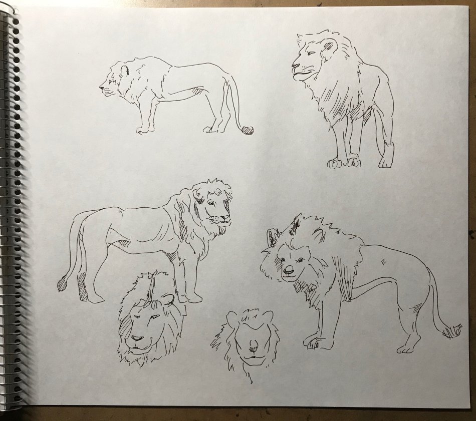 一城ひとま デフォルメ漫画 本日の15分クロッキー 累計505日目 ライオン の写真 どうぶつ写真素材という本 をモデルにしました 動物はあまり描いたことがないから 形を覚えるためにも練習しようと思った T Co Vtbloqhf5d Twitter