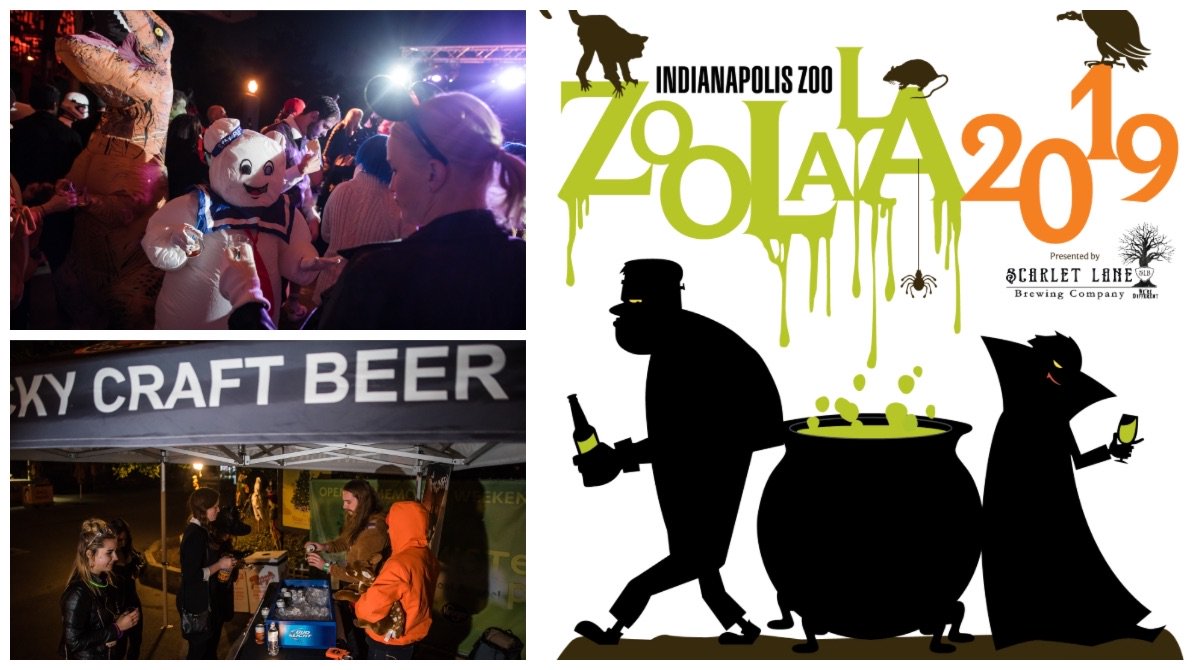 IndyGPO's tweet photo. Get your boos 👻 on at the @IndianapolisZoo! We are giving away a pair of tickets to Zoolala!
🦁Follow @IndianapolisZoo
🐻RETWEET
🍻Tag 3 friends
 
Lucky winner will be chosen on Monday! 
#IndyZoolala #Giveaway #Breweries #Halloween https://t.co/5dYgU7VdoO