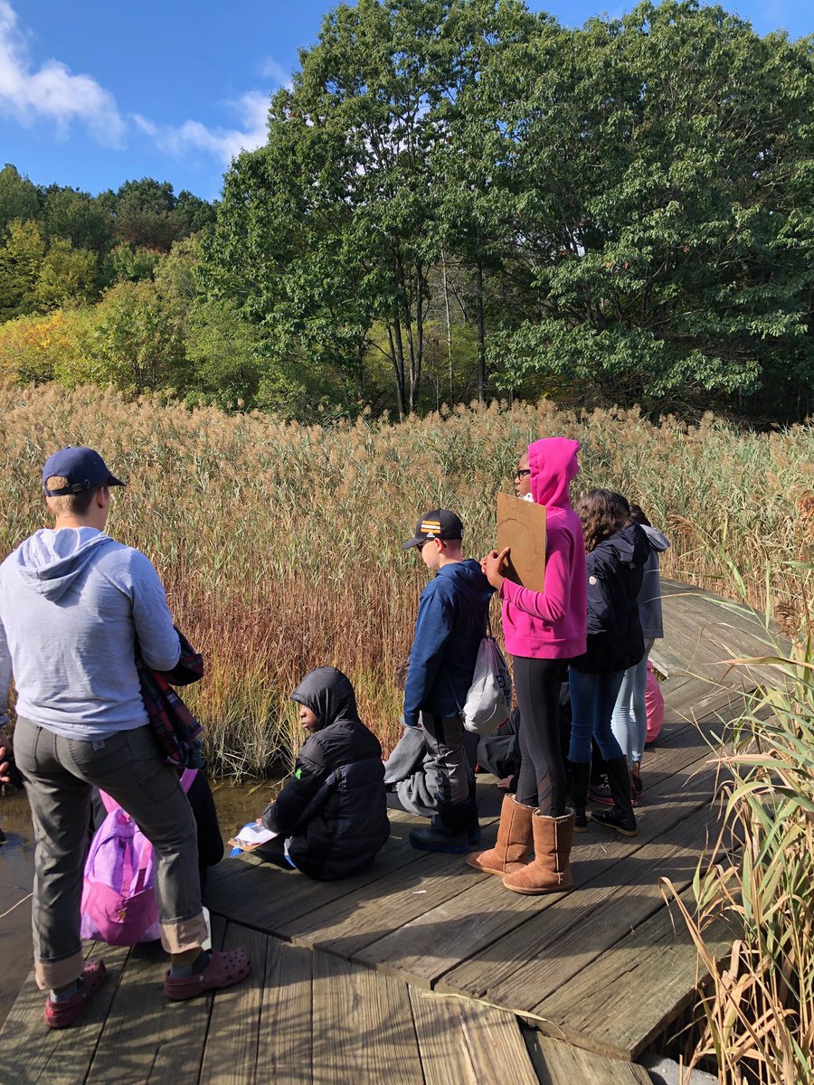 cmsap1's tweet image. 6th Graders @cmshappenings enjoy their morning exploring at Forest River! #gosharks #exploration #cmsrocls