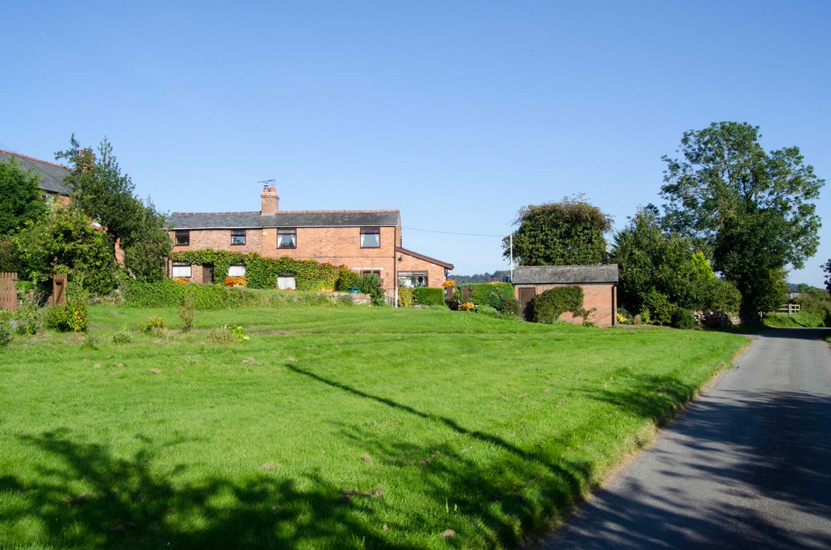 Cavendish tweet media