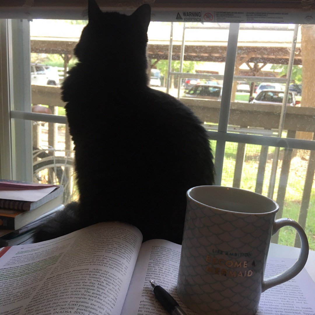Author_RN's tweet photo. Cleo is helping me study today. #catsandcoffee #coffee #studying #study #typicalmorning #lovecats https://t.co/O0BOivbfym