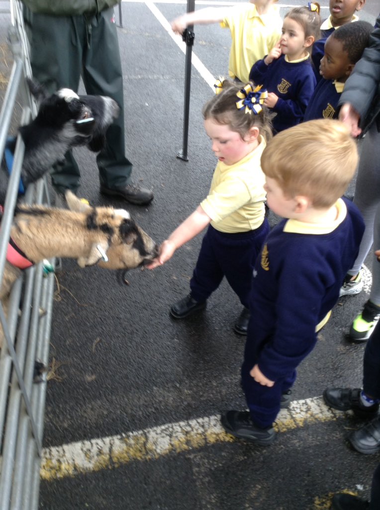 StSebastiansPri's tweet image. #Foundation1 have had a wonderful afternoon meeting lots of different animals!