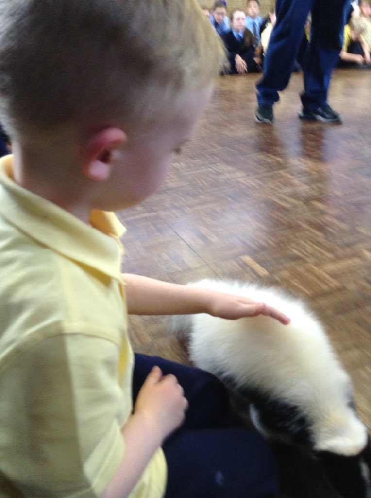 StSebastiansPri's tweet image. #Foundation1 have had a wonderful afternoon meeting lots of different animals!