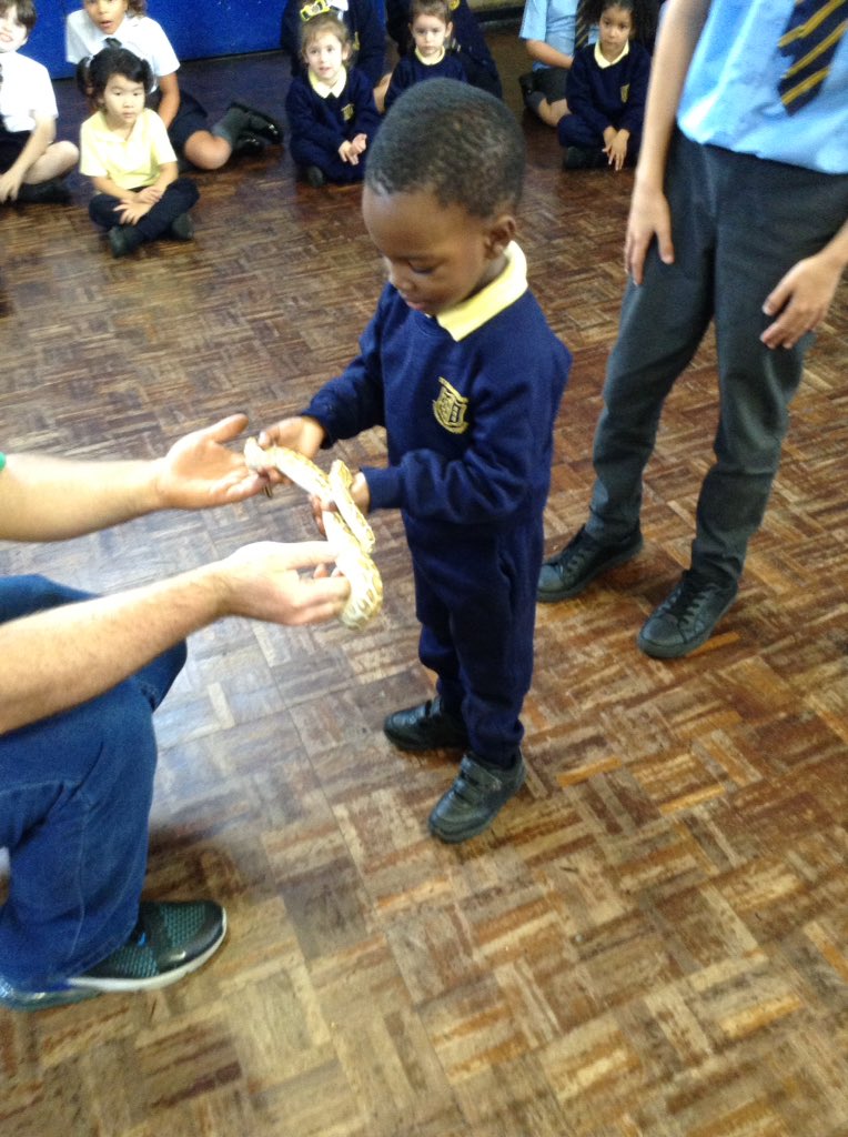 StSebastiansPri's tweet image. #Foundation1 have had a wonderful afternoon meeting lots of different animals!