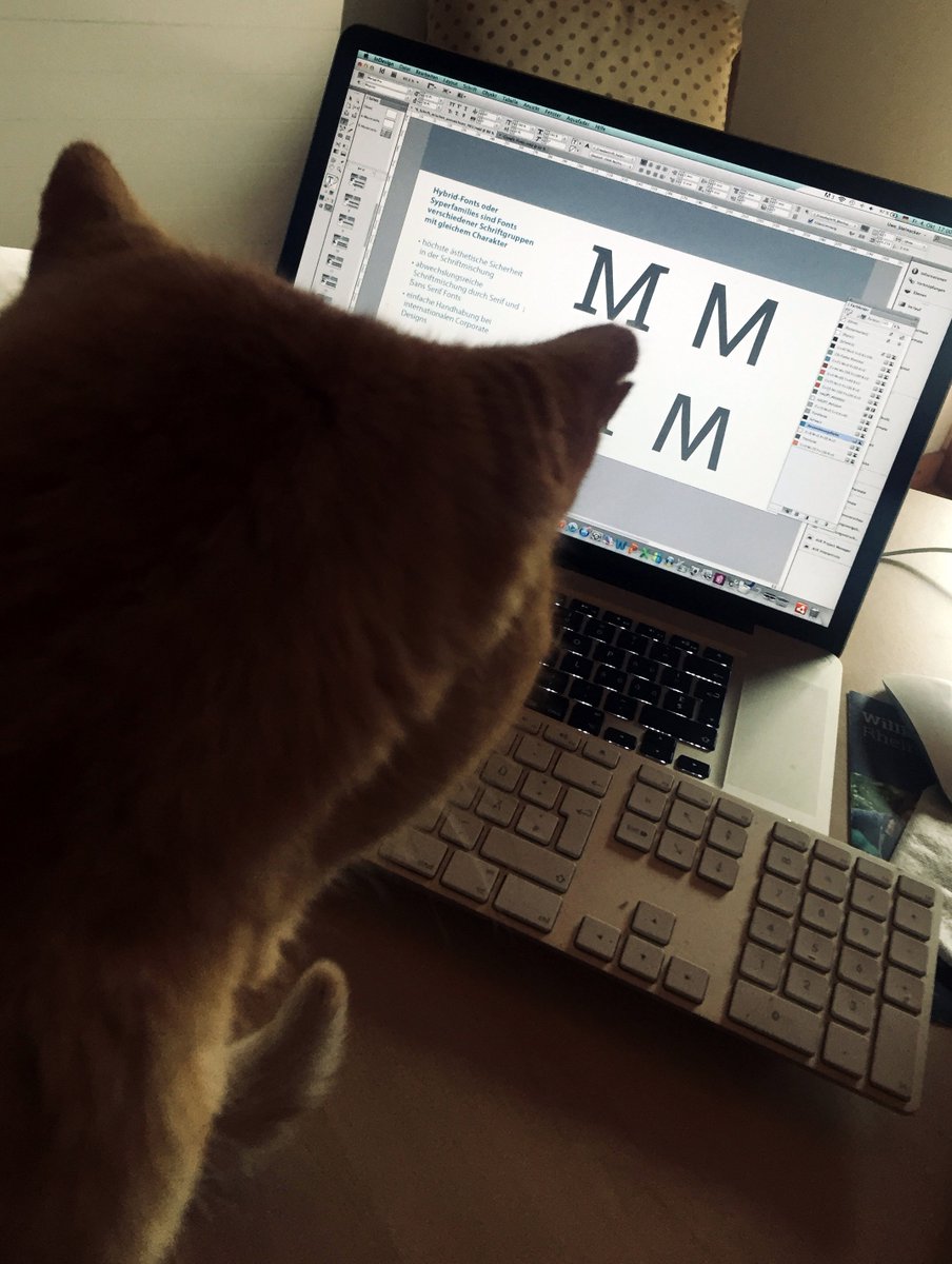 Mein Mentor bei der Seminar-Vorbereitung. #typeschool #typography #superfamily #workshop #indesign #uwesteinacker