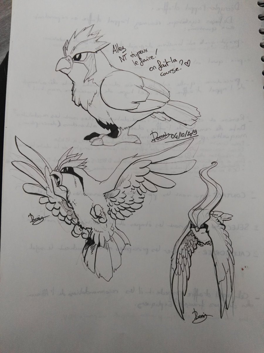 Dormin_DIM's tweet photo. Et voilà, la famille #roucool #roucoups #roucarnage ou #pidgey #pidgeotto #pidgeot merci à @Newtiteuf pour m'avoir inspirée. En espérant pouvoir encore dessiner avec toi. Merci #Newtiteuf https://t.co/hvFrqMut28