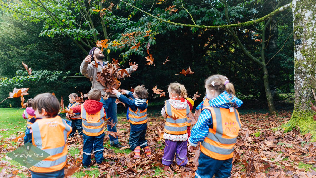 snap_forest's tweet photo. A much needed yomp through @WestonbirtArb to witness awe-tumn for ourselves! Mushrooms & amazing trees were in abundance on our way, & who could pass up the opportunity for a good leaf fight with superb ammunition provided by a nearby Oregon Maple! #outdoorlearning #snapforest https://t.co/nfya2lpaa2