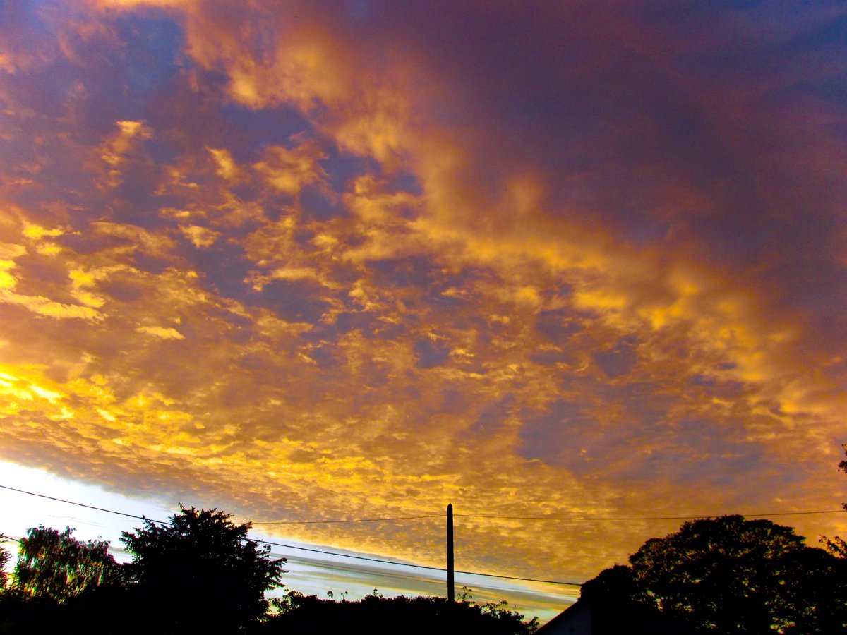 Down bythe Riverside tweet media