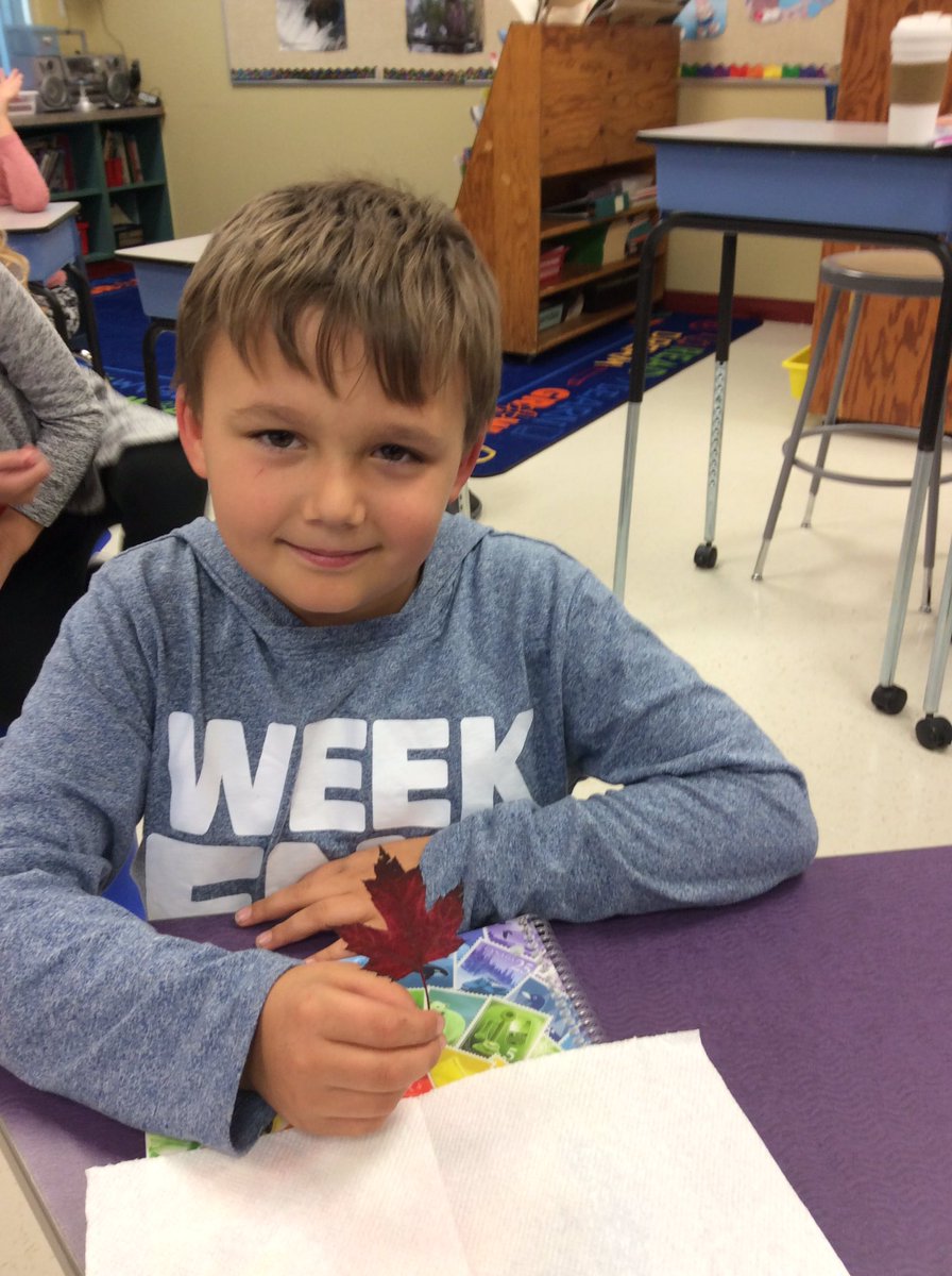 MrsCAntonio's tweet photo. A student brought in a red maple leaf that he found because we have been learning about our national anthem and flag. @WpgBeachSchool https://t.co/mprHUjG0si