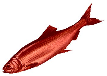 Do you know what a red herring tastes like?  We are being fed a great big fat one right now.