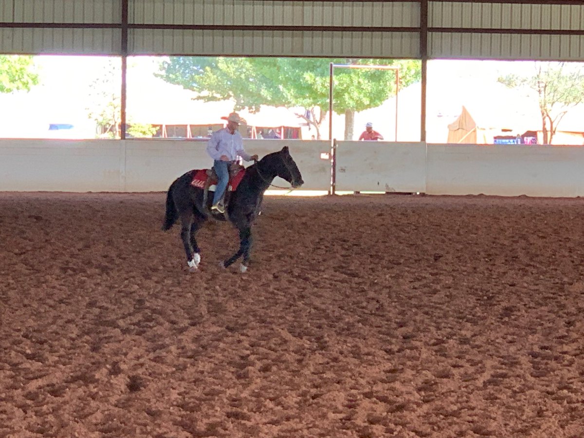 Stoney Jones demonstrating Lot 10 at The Return To The Remuda.