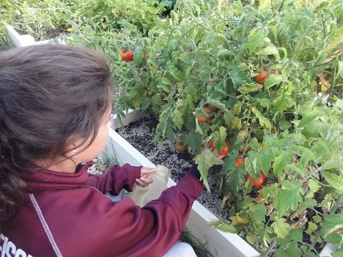 USDA_FNA's tweet photo. It’s time for the 2019 Farm to School Census! We want to know how much Farm to School grew between 2014 and 2019. Check out how your local school district did on the last Farm to School Census at https://t.co/tSiOiFBP3j #farmtoschool #F2Scensus #F2SMonth https://t.co/YBehyBxoPH