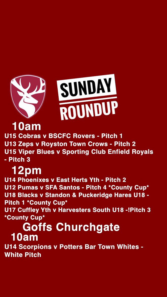 CuffleyFC's tweet photo. Another busy Sunday! Come on Cuffley!!! #cuffleyfc #footballfamily https://t.co/LRPh7qiGeC